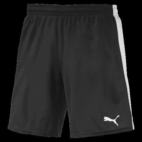 Pitch Shorts WithInnerbrie - PUMA BLACK-PUMA WHITE-CASTLERO